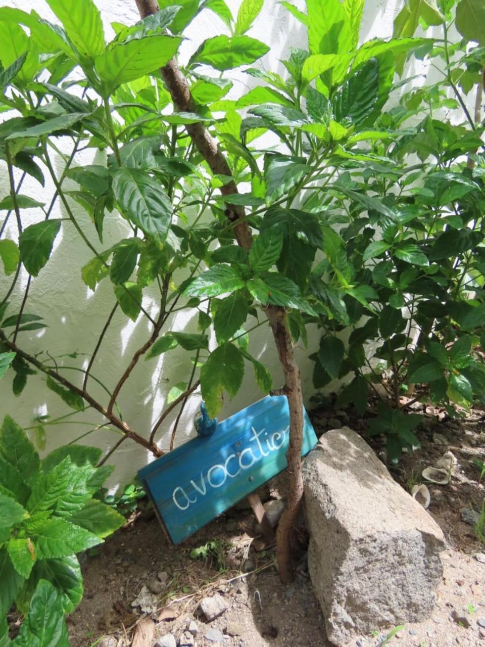 Akunamatata Guest House 그랜드케이스 외부 사진