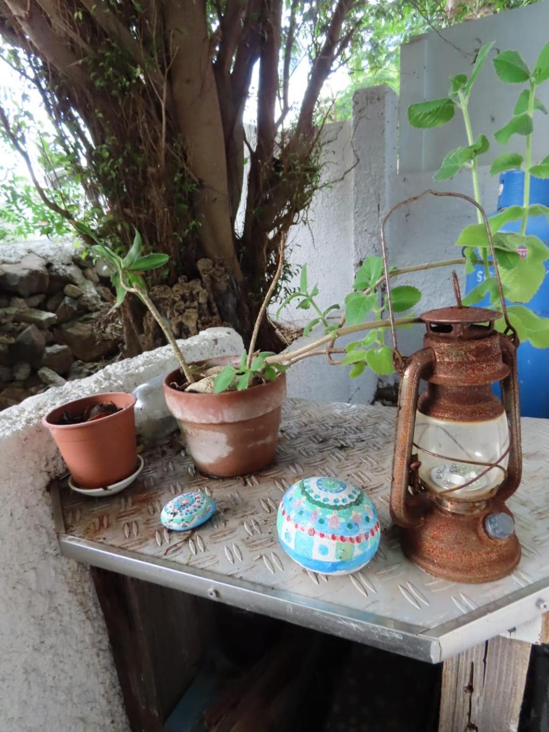 Akunamatata Guest House 그랜드케이스 외부 사진